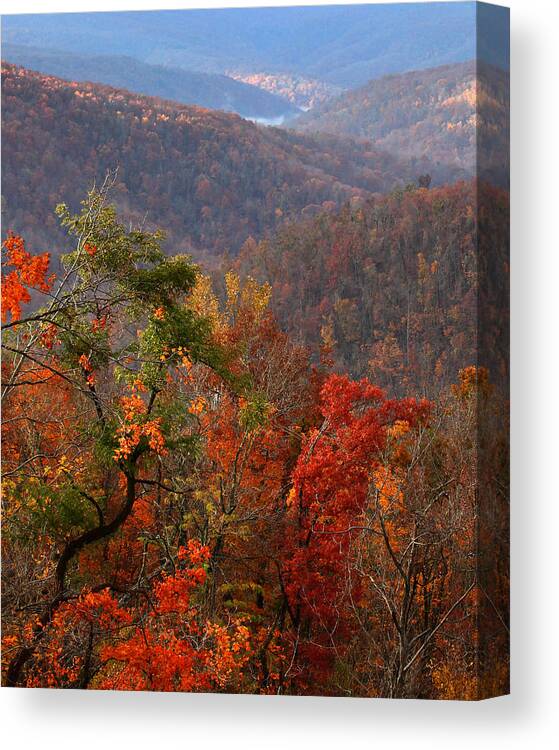 Ponca Canvas Print featuring the photograph Fall Color Ponca Arkansas by Michael Dougherty