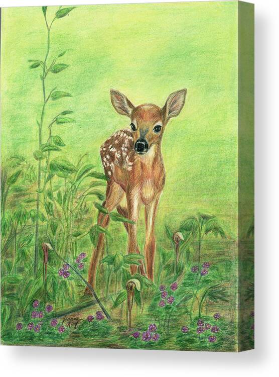 Nature Canvas Print featuring the painting Fawn by Jeanne Juhos