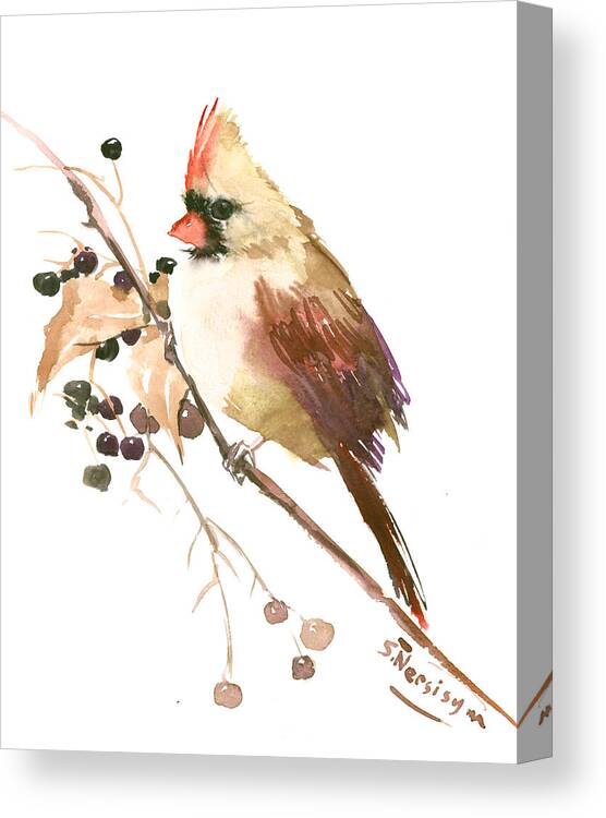 Cardinal Bird Canvas Print featuring the painting Female Cardinal Bird by Suren Nersisyan