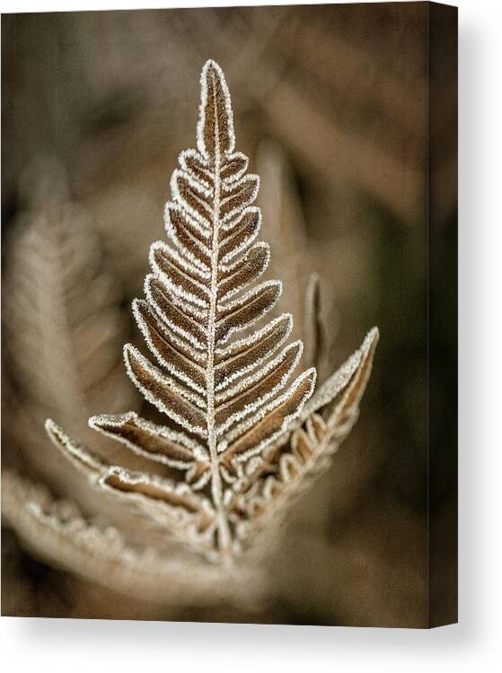 Frost Canvas Print featuring the photograph First Frost by Jaki Miller