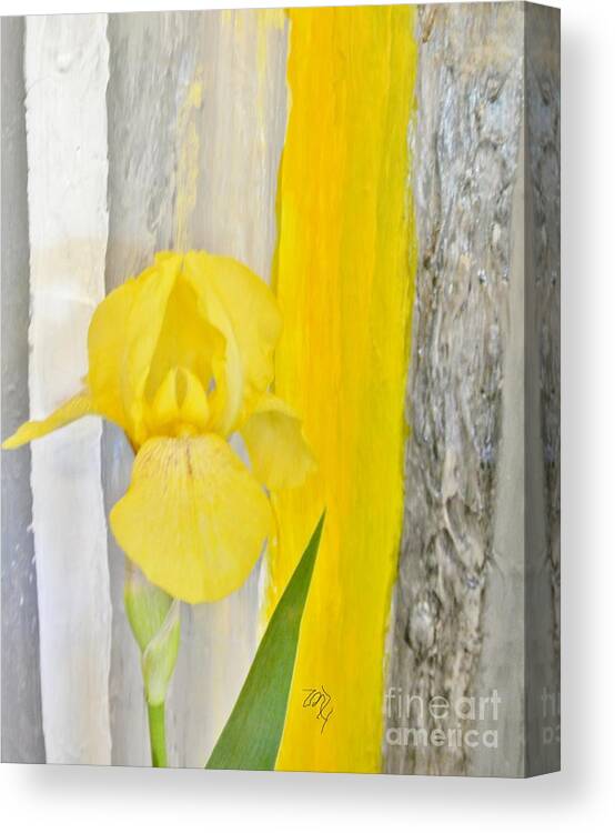 Photo Canvas Print featuring the photograph First Yellow Iris by Marsha Heiken