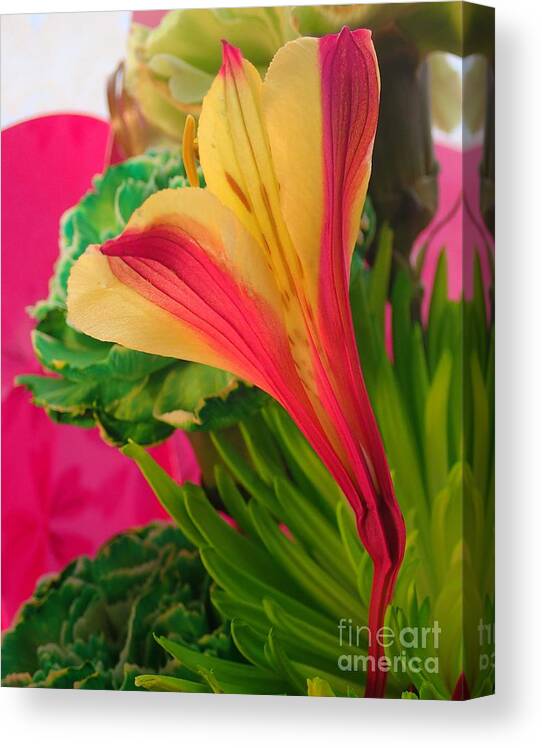 Flower Canvas Print featuring the photograph Floral Fusion by Christina Verdgeline