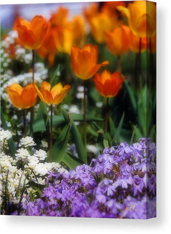 Flowers Canvas Print featuring the photograph Flower Garden by Sam Davis Johnson