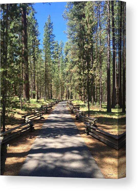 Path Canvas Print featuring the photograph Forest Path by Brian Eberly