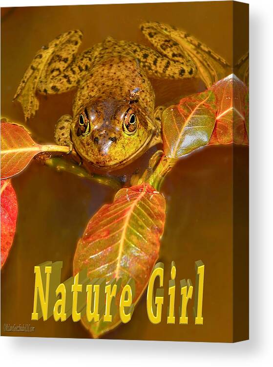 Frog Canvas Print featuring the photograph Frog Nature Girl by LeeAnn McLaneGoetz McLaneGoetzStudioLLCcom