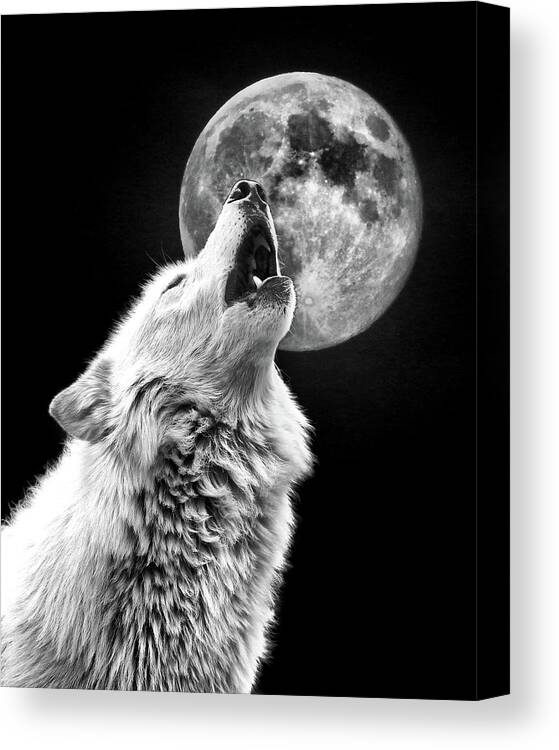 Wolf Canvas Print featuring the photograph Full Moon Howl by Steve McKinzie