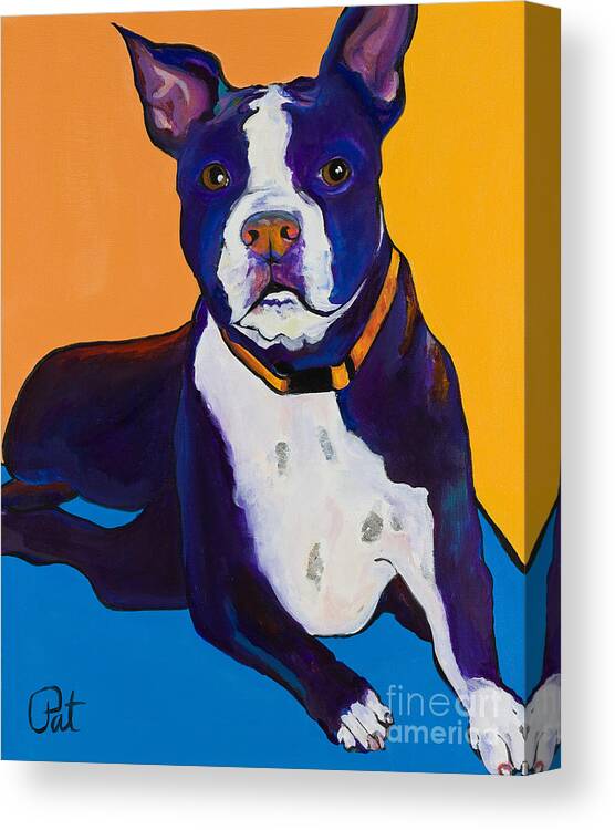 Boston Terrier Canvas Print featuring the painting Georgie by Pat Saunders-White