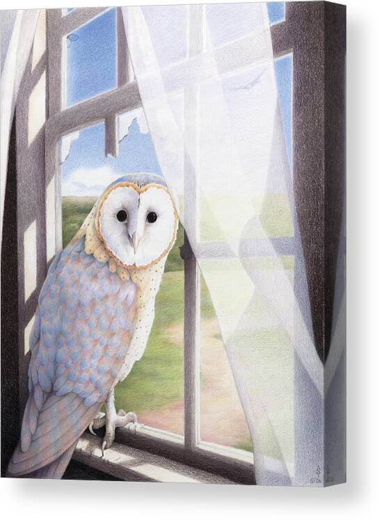 Owl Canvas Print featuring the drawing Ghost In The Attic by Amy S Turner