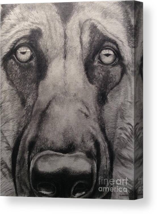 K9 Canvas Print featuring the drawing Good Boy by Kathy Laughlin