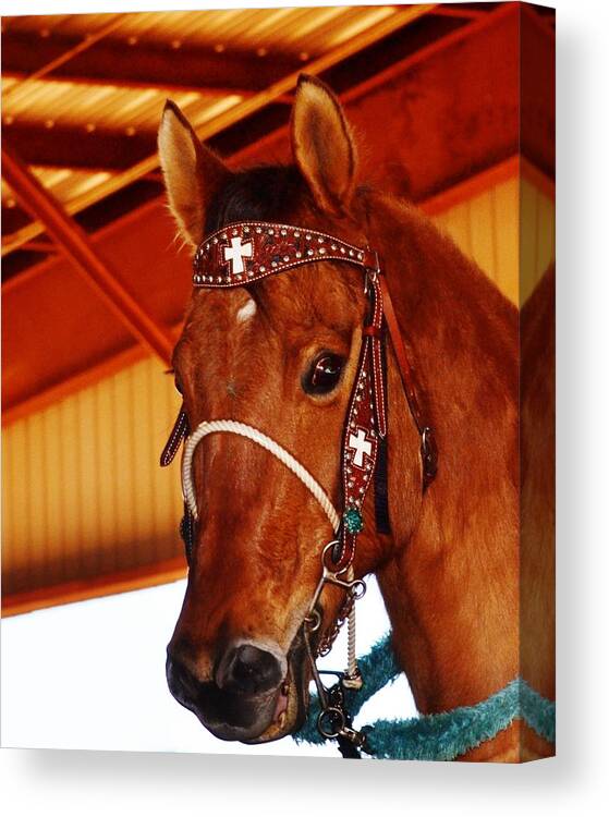 Horse Canvas Print featuring the photograph Gorgeous Horse and Bridle by Eileen Brymer