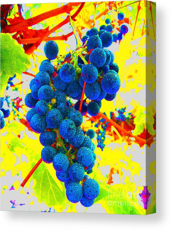 Grapes Canvas Print featuring the photograph Grapes by Jerome Stumphauzer