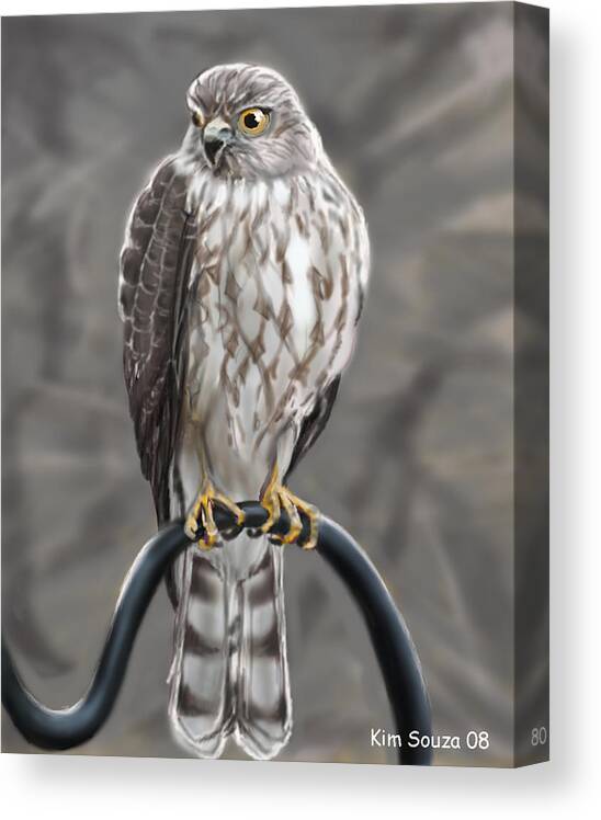 Birds Canvas Print featuring the painting Hawk by Kim Souza