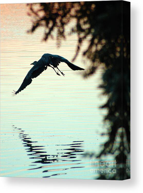 Clay Canvas Print featuring the photograph Heron At Dusk by Clayton Bruster