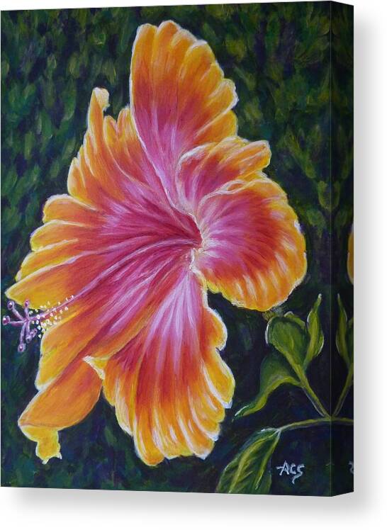 Hybiscus Canvas Print featuring the painting Hibiscus by Amelie Simmons