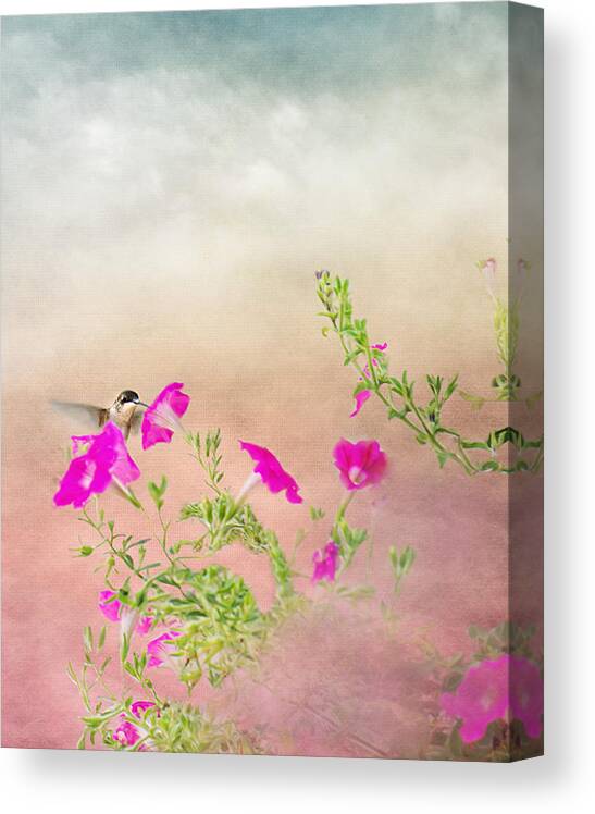 Hummingbird Print Canvas Print featuring the photograph Hummingbird in Flight by Gwen Gibson