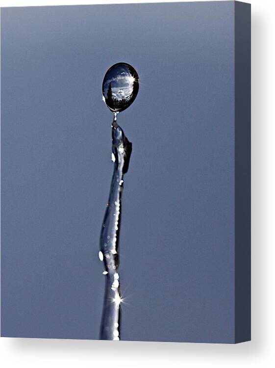 Water Canvas Print featuring the photograph In a drip by Robert Pearson
