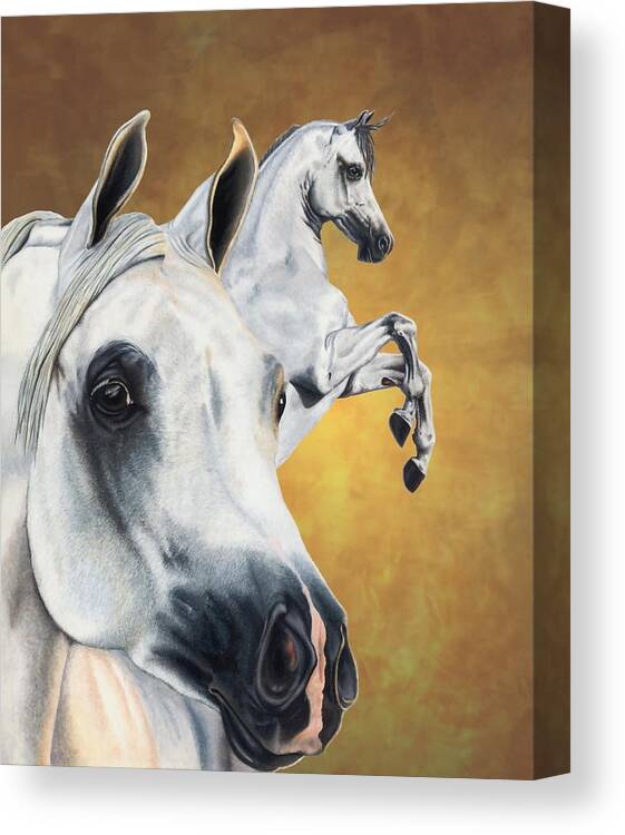 Horse Canvas Print featuring the drawing Inspiration by Kristen Wesch