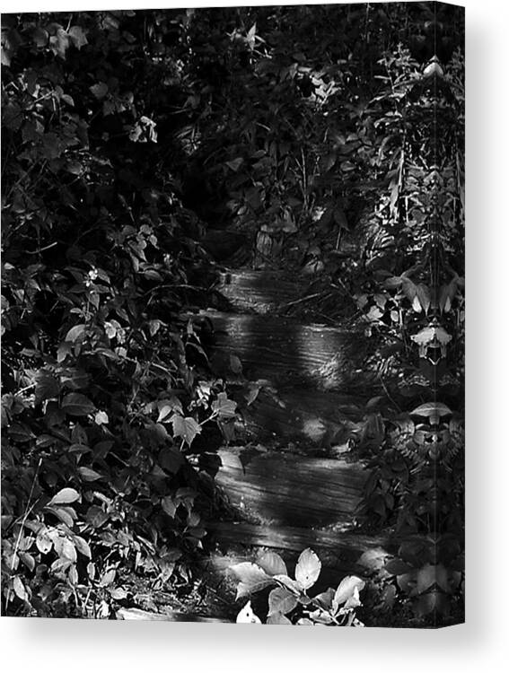 Wooded Stairs Canvas Print featuring the photograph Into the Shadows by Scott Heister