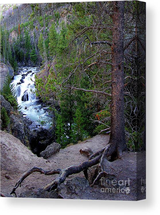 Diane Berry Canvas Print featuring the photograph Into The Wild by Diane E Berry