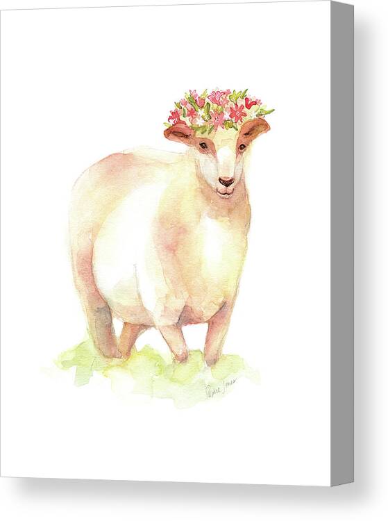 Sheep Canvas Print featuring the painting Jackie by Stephie Jones