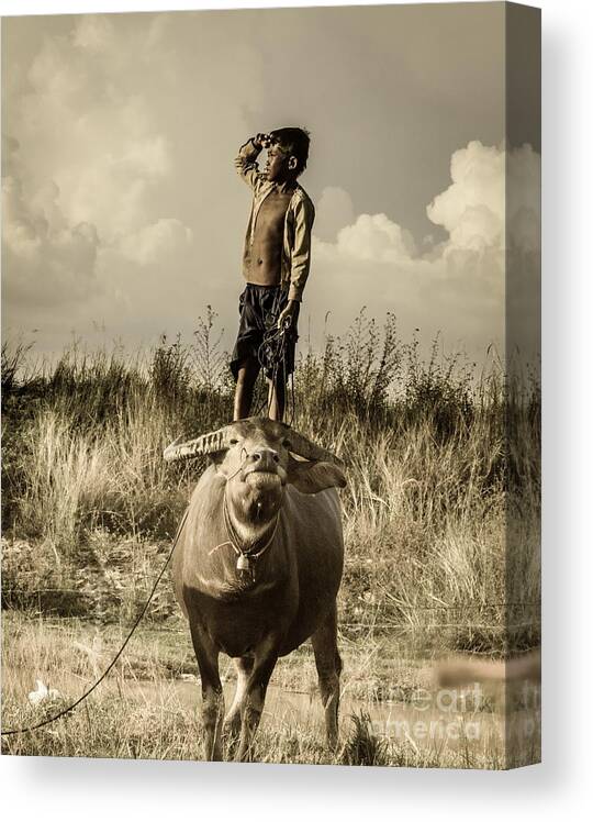 Boy; Cow ; Trip ; See ; Future ; Grass ; Lake ; Play Canvas Print featuring the photograph Kid and Cow by Arik S Mintorogo