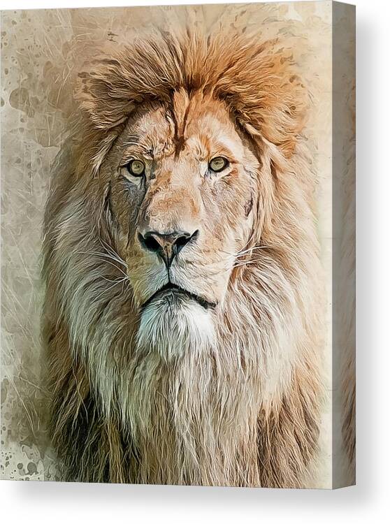 Lion Canvas Print featuring the photograph King of The Pride by Brian Tarr