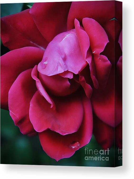 Red Canvas Print featuring the photograph Kiss by Lilliana Mendez