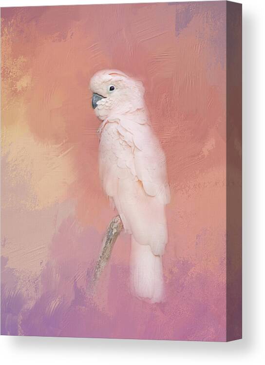 Bird Canvas Print featuring the photograph Kramer The Moluccan Cockatoo by Theresa Tahara