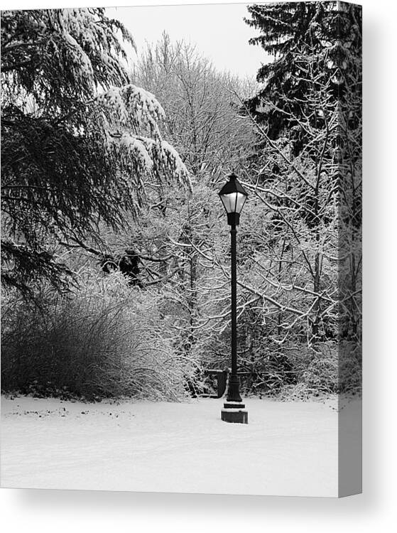 Lamp Post Canvas Print featuring the photograph Lamp Post in Winter - B/W by William Selander