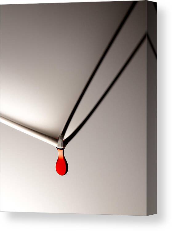 Wine Canvas Print featuring the photograph Last Drop by Daniel Troy