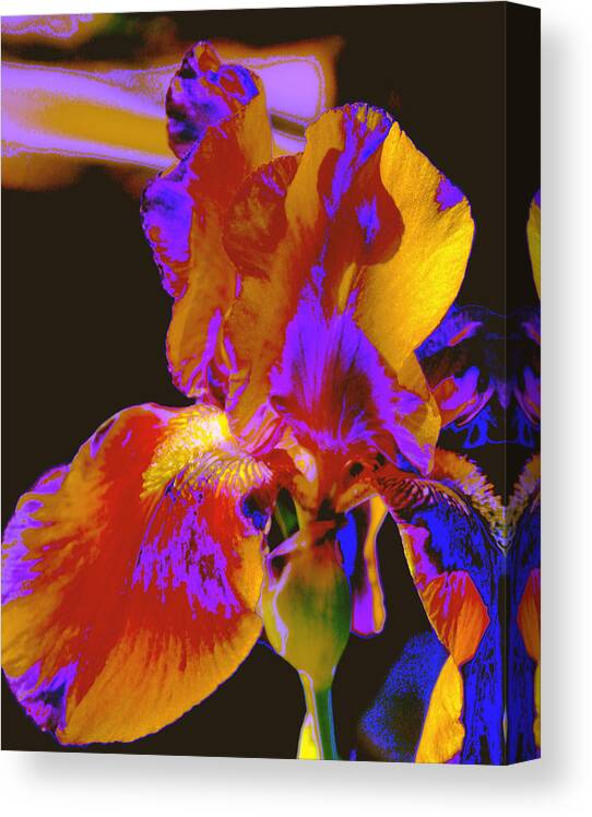 Iris Canvas Print featuring the photograph Light Touch by M Diane Bonaparte