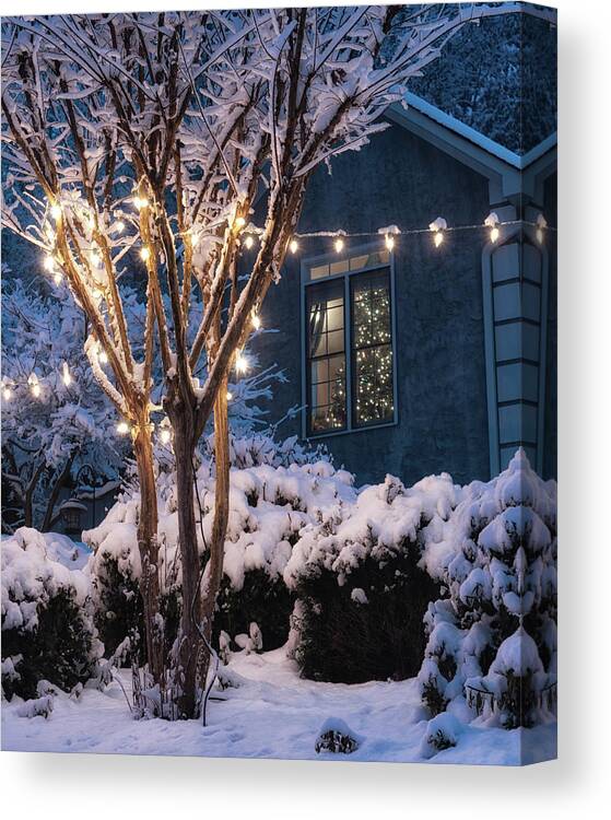Christmas Canvas Print featuring the photograph Lights and a Tree by Daryl Clark