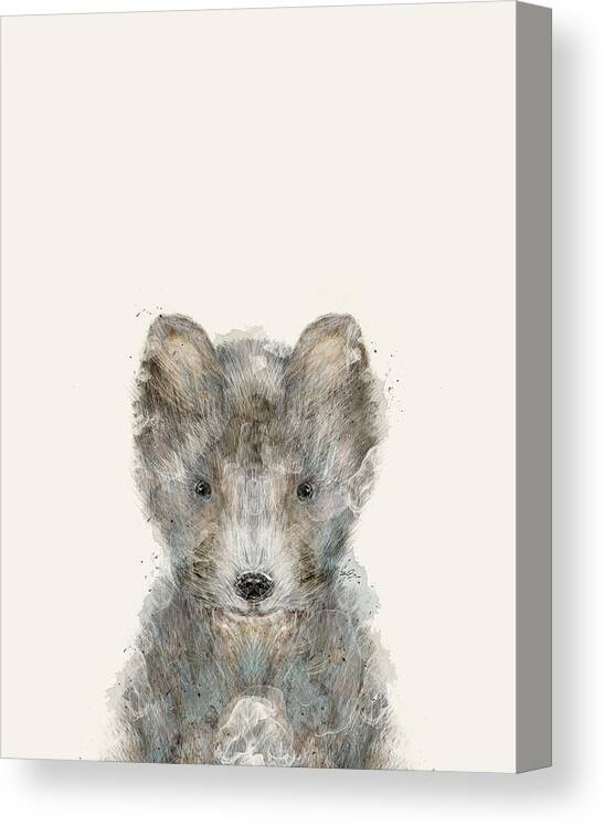 Wolf Canvas Print featuring the painting Little Grey Wolf by Bri Buckley