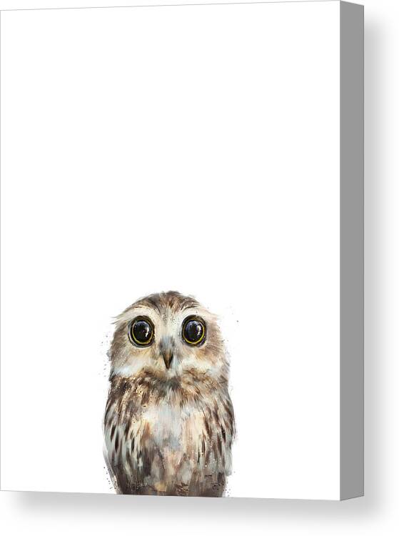 Owl Little Owl Baby Baby Owl Little Collection Nature Animals Animal Wildlife Wild Wilderness Fauna Forest Woodland Creature Illustration Drawing Painting Art Artwork Amy Hamilton Canvas Print featuring the painting Little Owl by Amy Hamilton
