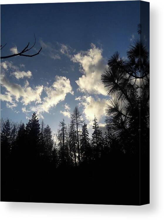 Clouds Canvas Print featuring the photograph Looking To The Sky by Shawna Walker