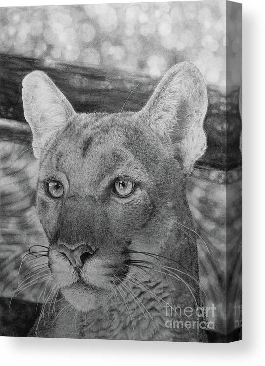 Drawing Canvas Print featuring the painting Lucy by Jennifer Watson