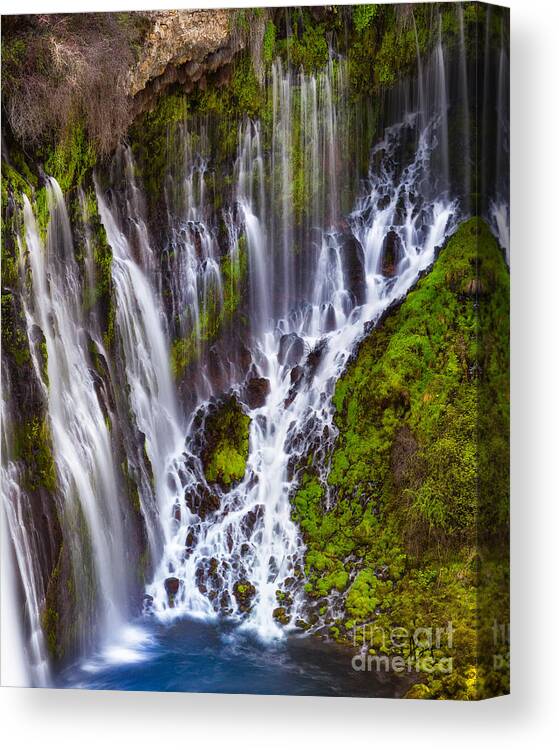 Waterfall Canvas Print featuring the photograph Majestic Falls by Anthony Michael Bonafede