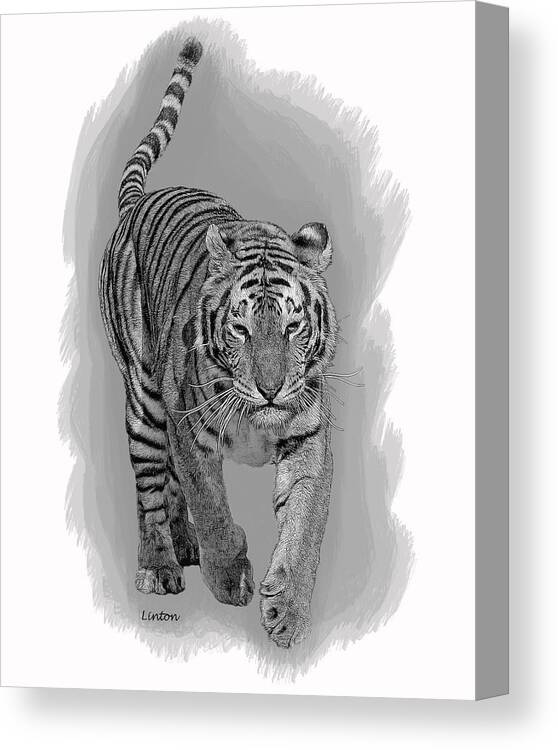Malaysian Tiger Canvas Print featuring the digital art Malaysian Tiger by Larry Linton