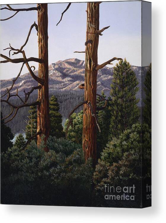 Landscape Painting Canvas Print featuring the painting Marion Mountain at Sun Set by Jiji Lee