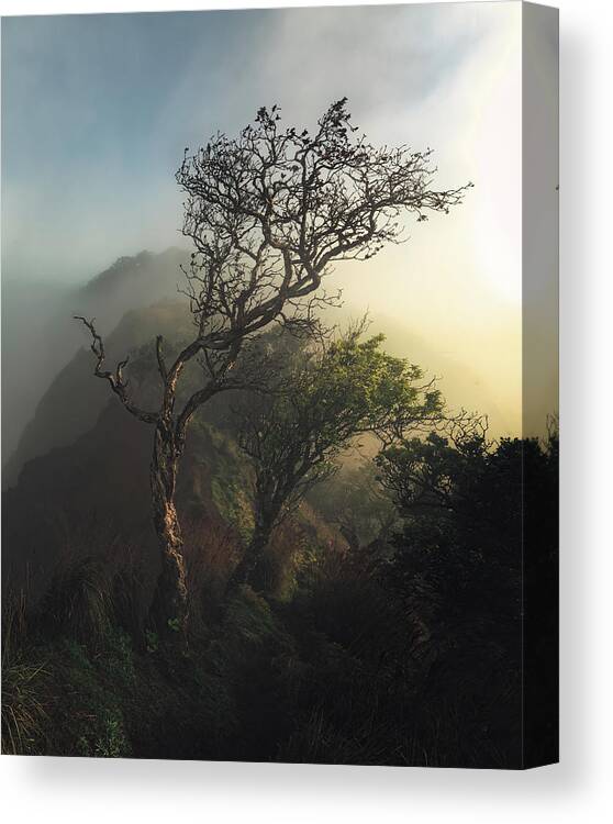 Na Pali Canvas Print featuring the photograph Misty Na Pali by Tor-Ivar Naess