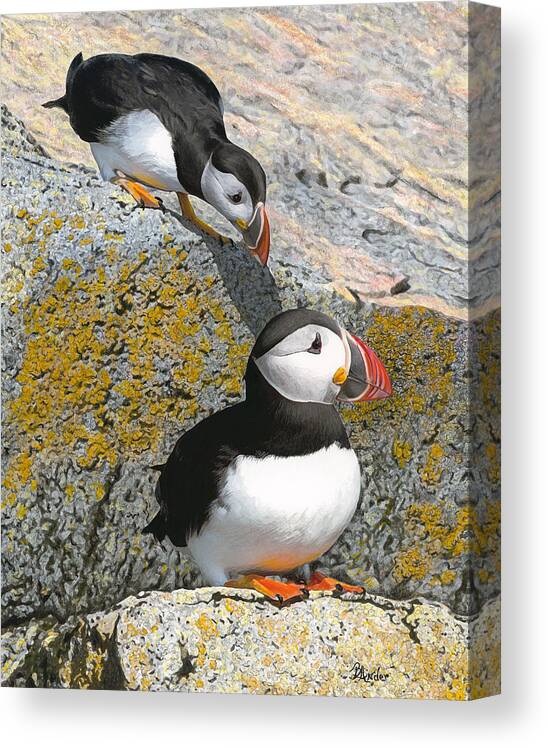 Birds Canvas Print featuring the drawing Mom Watch ME by Brent Ander