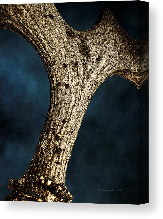 Moose Canvas Print featuring the photograph Moose Horn Curves by Fred Denner