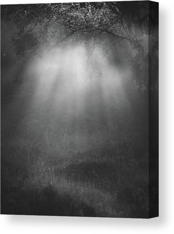 B&w Canvas Print featuring the photograph Mystery by Chris Dale