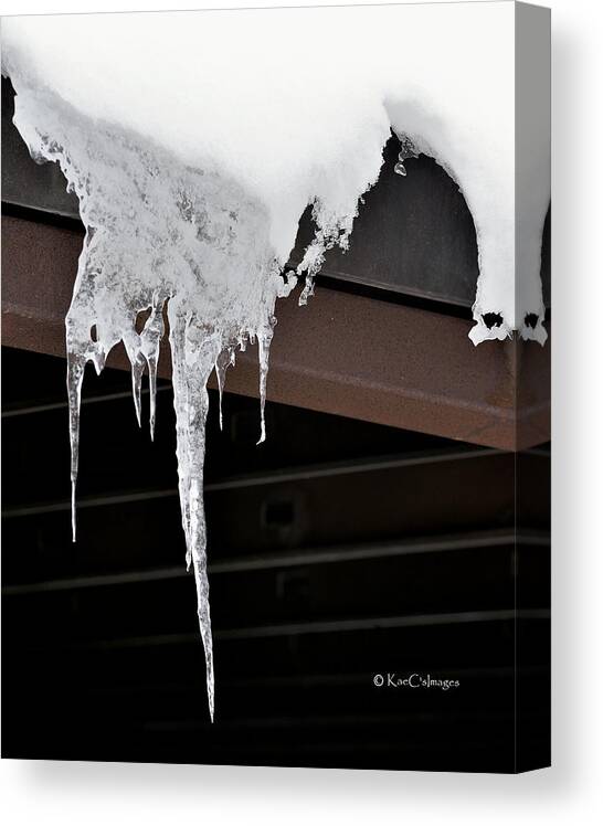 Nature Canvas Print featuring the photograph Nature's Winter Abstract #4 by Kae Cheatham