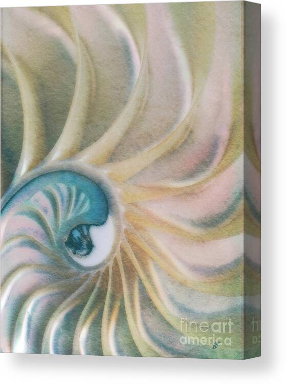 Fine Art Photography Canvas Print featuring the photograph Nautilus #1, Embryo by John Strong