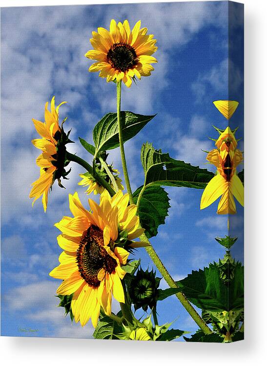 Diane Berry Canvas Print featuring the painting Nothing But Blue Skies by Diane E Berry