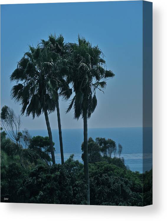 Ocean Brezze Palms Canvas Print featuring the photograph Ocean Brezze Palms by Debra   Vatalaro