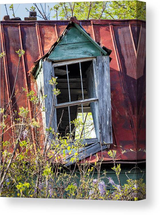 Window Canvas Print featuring the photograph Old South Window #1 by Denise Bush