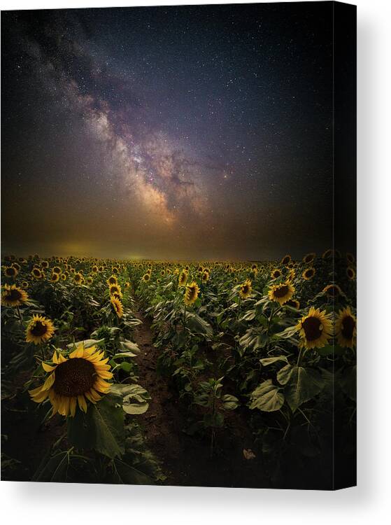Milky Way Canvas Print featuring the photograph One In A Million by Aaron J Groen