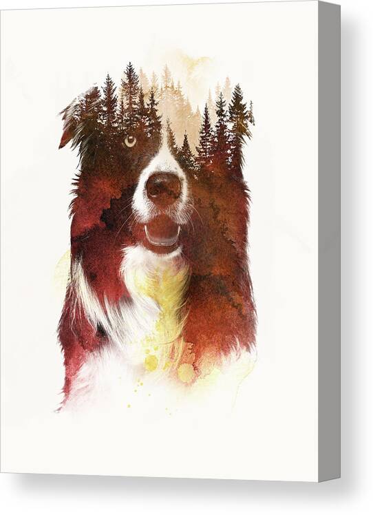 Momo Canvas Print featuring the mixed media One night in the forest by Robert Farkas